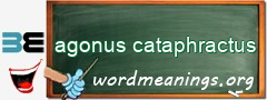 WordMeaning blackboard for agonus cataphractus